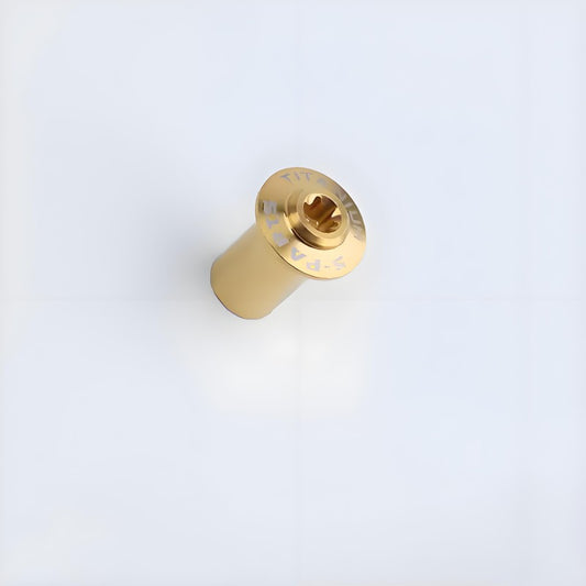 DUCATI M6 Titanium Key Switch Cap Nuts for Ignition Lock Fixing