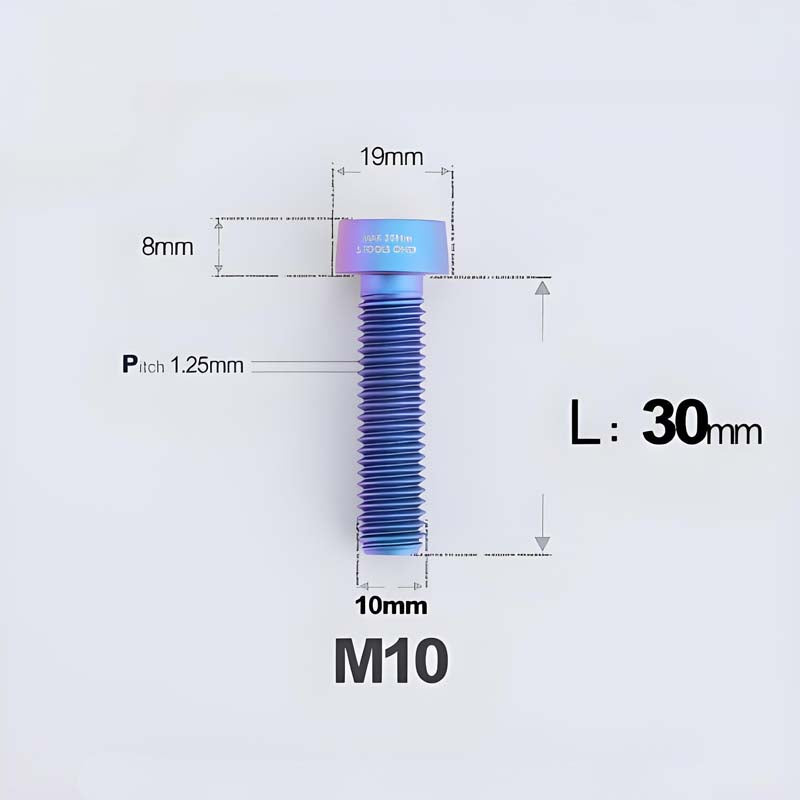 M10xL20-80mm Titanium 1.25mm Thread Security Bolt for Brembo Caliper Mounting D19