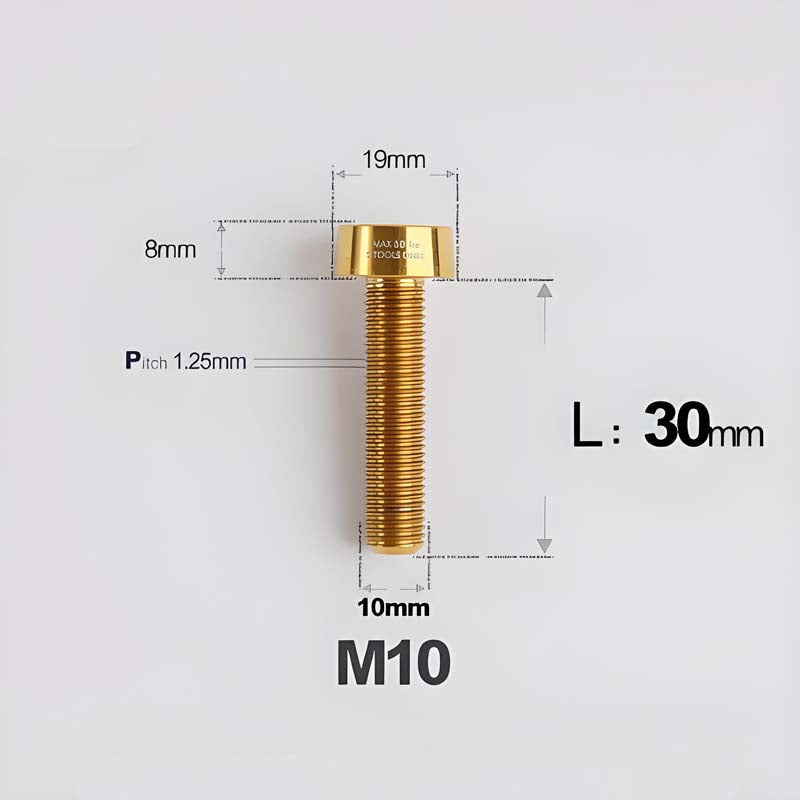 M10xL20-80mm Titanium 1.25mm Thread Security Bolt for Brembo Caliper Mounting D19