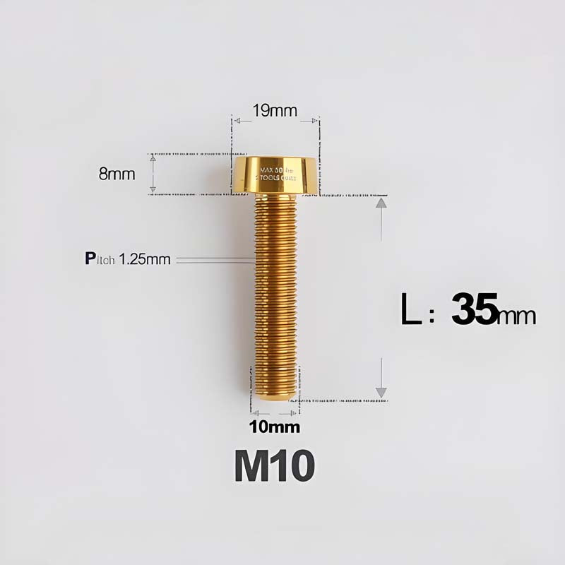 M10xL20-80mm Titanium 1.25mm Thread Security Bolt for Brembo Caliper Mounting D19