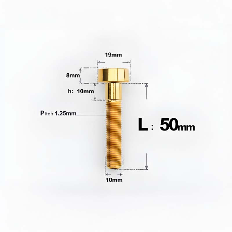 M10xL20-80mm Titanium 1.25mm Thread Security Bolt for Brembo Caliper Mounting D19