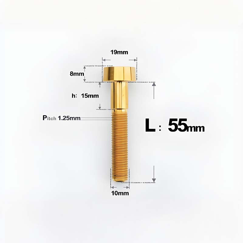M10xL20-80mm Titanium 1.25mm Thread Security Bolt for Brembo Caliper Mounting D19