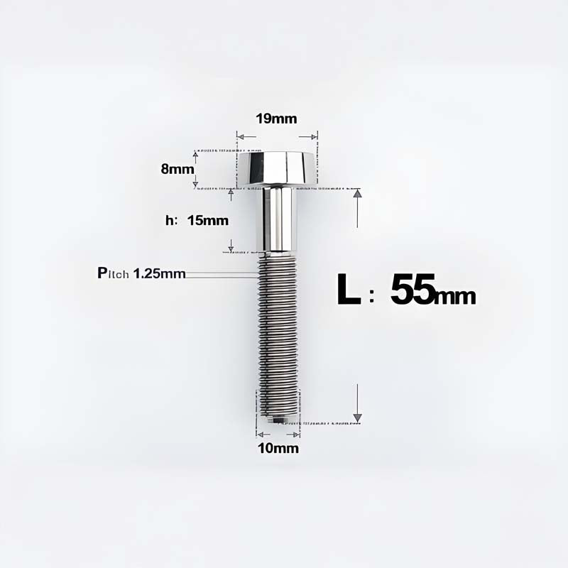 M10xL20-80mm Titanium 1.25mm Thread Security Bolt for Brembo Caliper Mounting D19