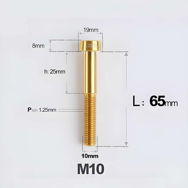 M10xL20-80mm Titanium 1.25mm Thread Security Bolt for Brembo Caliper Mounting D19