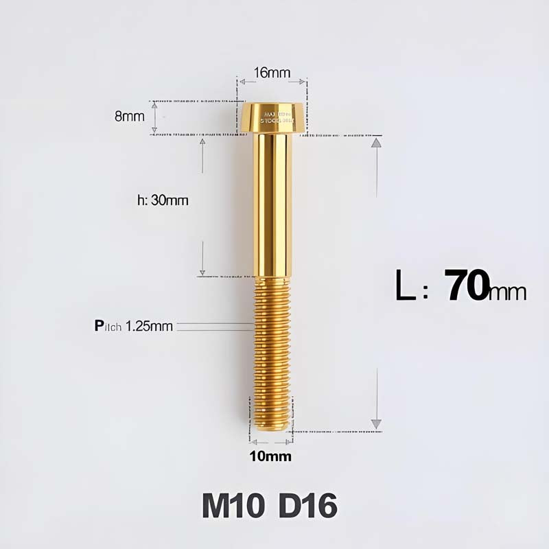 M10xL20-80mm Titanium 1.25mm Thread Security Bolt for Brembo Caliper Mounting D16