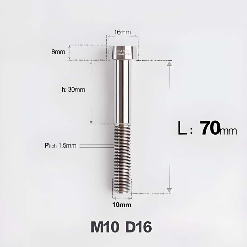 M10xL20-80mm Titanium 1.5mm Thread Security Bolt for Brembo Caliper Mounting D16