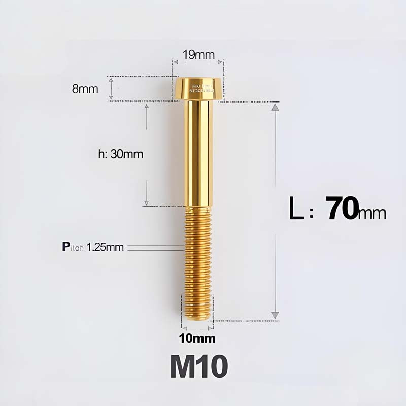 M10xL20-80mm Titanium 1.25mm Thread Security Bolt for Brembo Caliper Mounting D19