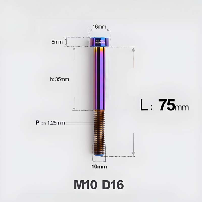 M10xL20-80mm Titanium 1.25mm Thread Security Bolt for Brembo Caliper Mounting D16