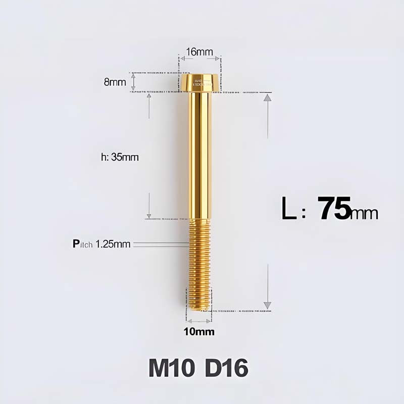 M10xL20-80mm Titanium 1.25mm Thread Security Bolt for Brembo Caliper Mounting D16