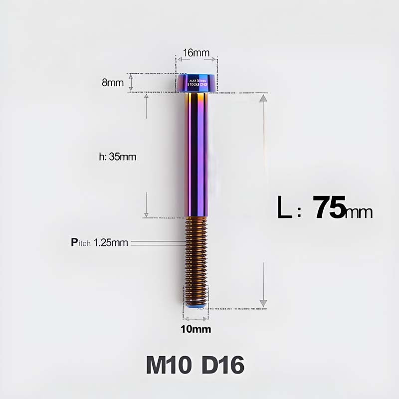 M10xL20-80mm Titanium 1.5mm Thread Security Bolt for Brembo Caliper Mounting D16