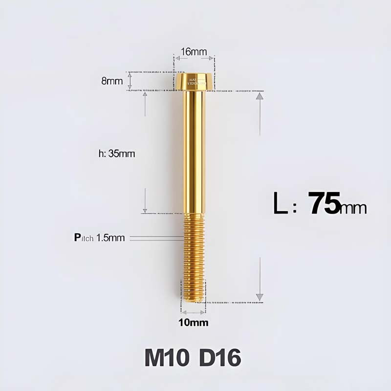 M10xL20-80mm Titanium 1.5mm Thread Security Bolt for Brembo Caliper Mounting D16