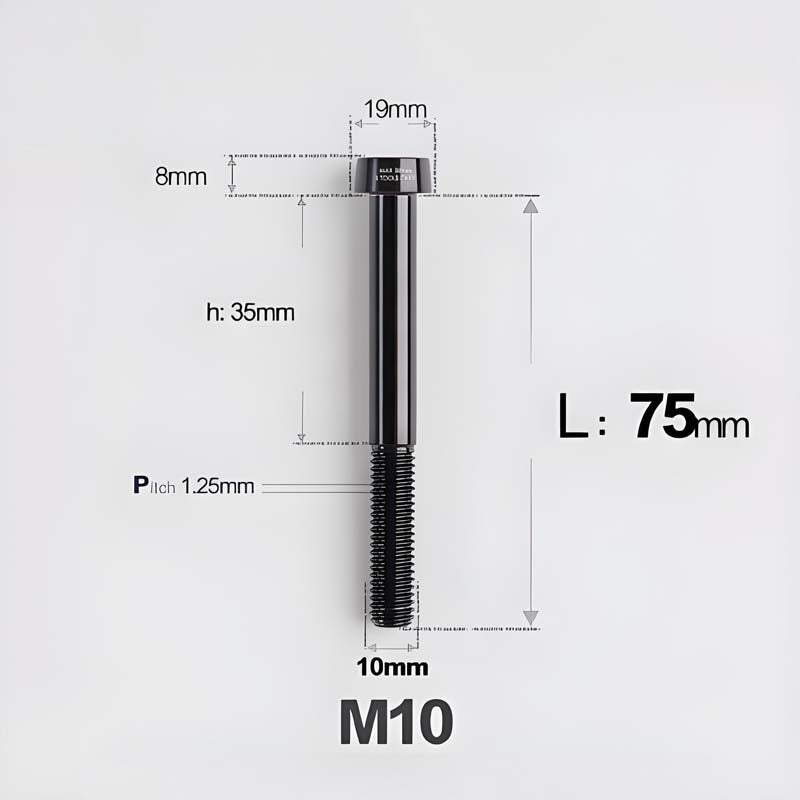 M10xL20-80mm Titanium 1.25mm Thread Security Bolt for Brembo Caliper Mounting D19