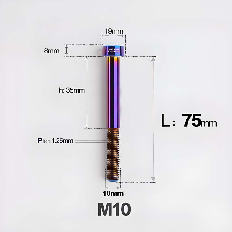 M10xL20-80mm Titanium 1.25mm Thread Security Bolt for Brembo Caliper Mounting D19