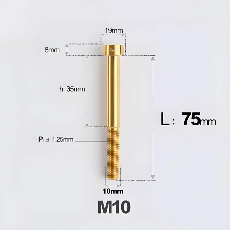 M10xL20-80mm Titanium 1.25mm Thread Security Bolt for Brembo Caliper Mounting D19