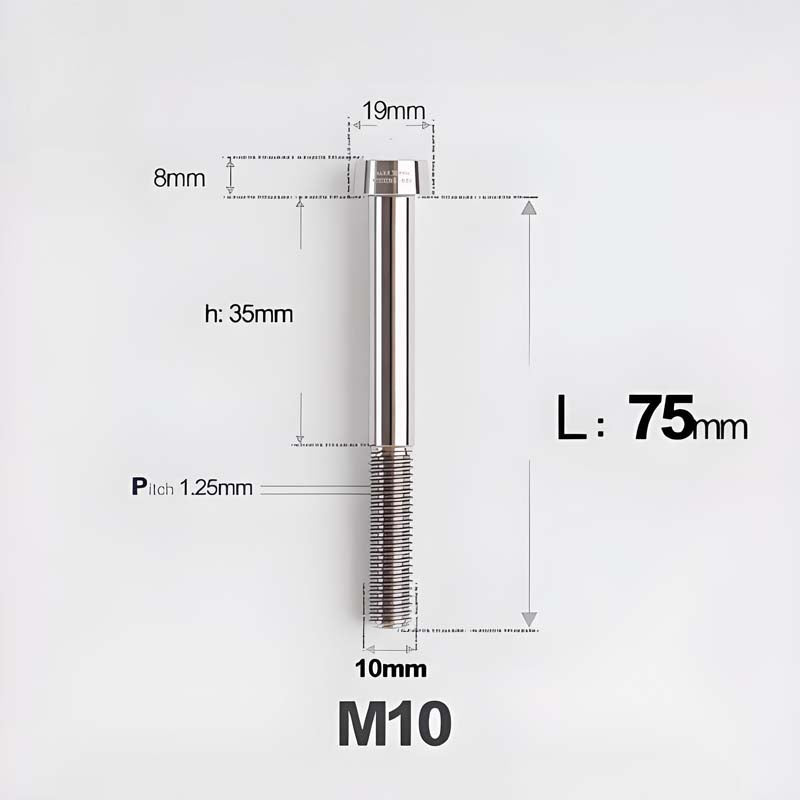 M10xL20-80mm Titanium 1.25mm Thread Security Bolt for Brembo Caliper Mounting D19