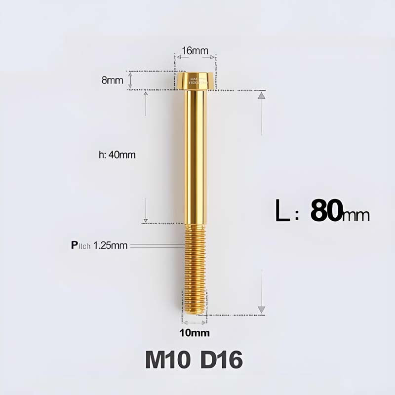 M10xL20-80mm Titanium 1.25mm Thread Security Bolt for Brembo Caliper Mounting D16