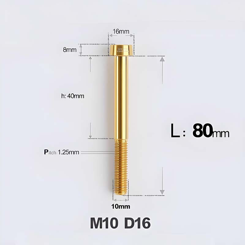 M10xL20-80mm Titanium 1.5mm Thread Security Bolt for Brembo Caliper Mounting D16
