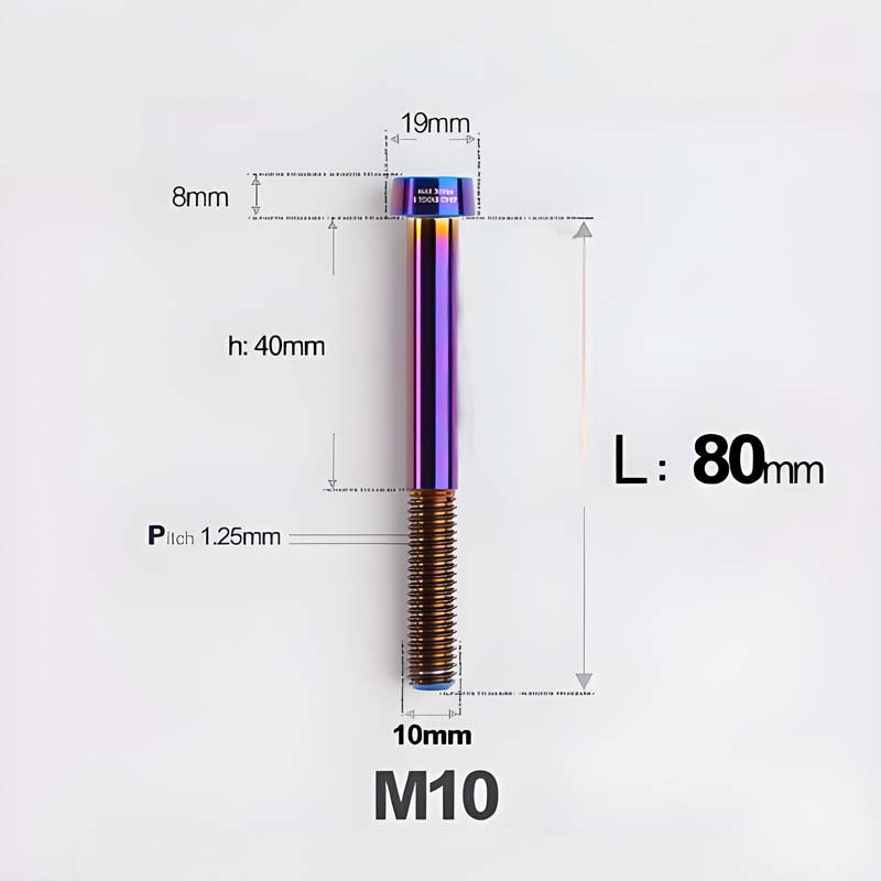 M10xL20-80mm Titanium 1.25mm Thread Security Bolt for Brembo Caliper Mounting D19