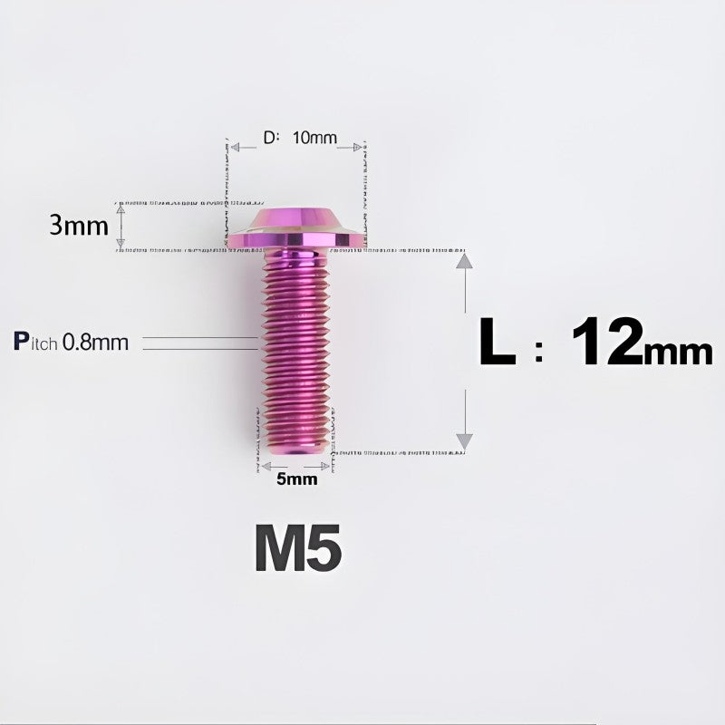 M5/M6x12mm Titanium Disc Bolts for ARAI RAPIDE-NEO Helmet Series