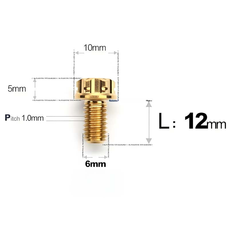 M6 Titanium Full Thread Bolts (8-30mm) for Motorcycles, Bicycles, and E-Bikes