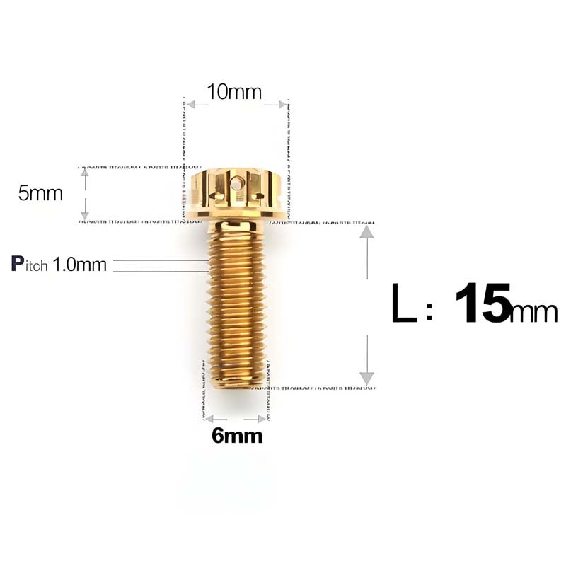 M6 Titanium Full Thread Bolts (8-30mm) for Motorcycles, Bicycles, and E-Bikes