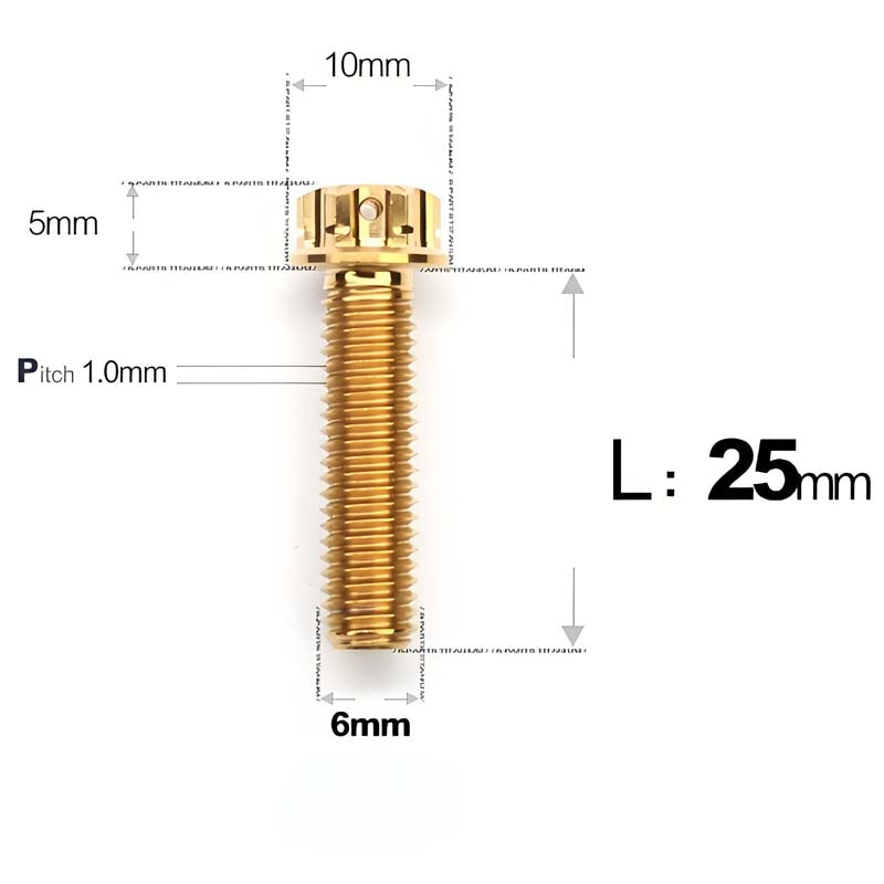 M6 Titanium Full Thread Bolts (8-30mm) for Motorcycles, Bicycles, and E-Bikes