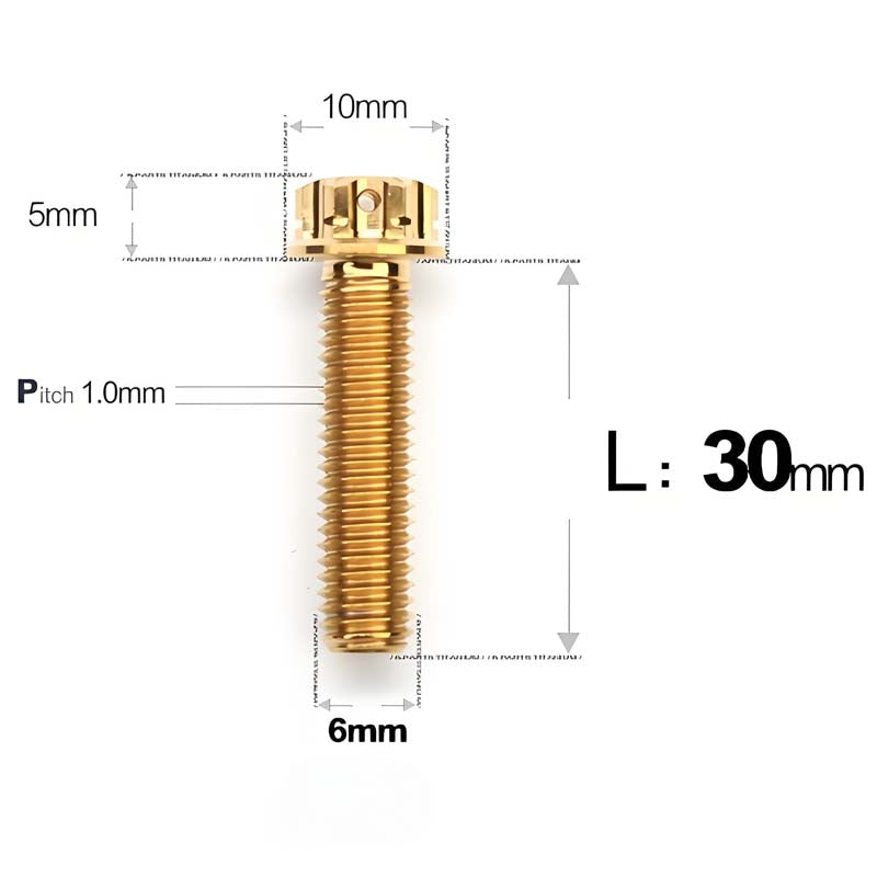 M6 Titanium Full Thread Bolts (8-30mm) for Motorcycles, Bicycles, and E-Bikes