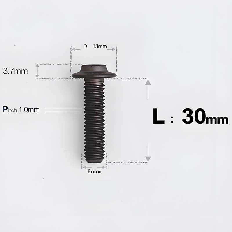 M6 X L8-55mm Titanium Button Head Bolts For Electric Motorbycle