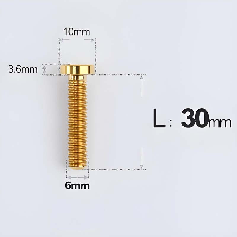 M6x20-30mm Titanium Flat Head Bolts for Motorcycle Disc Brake