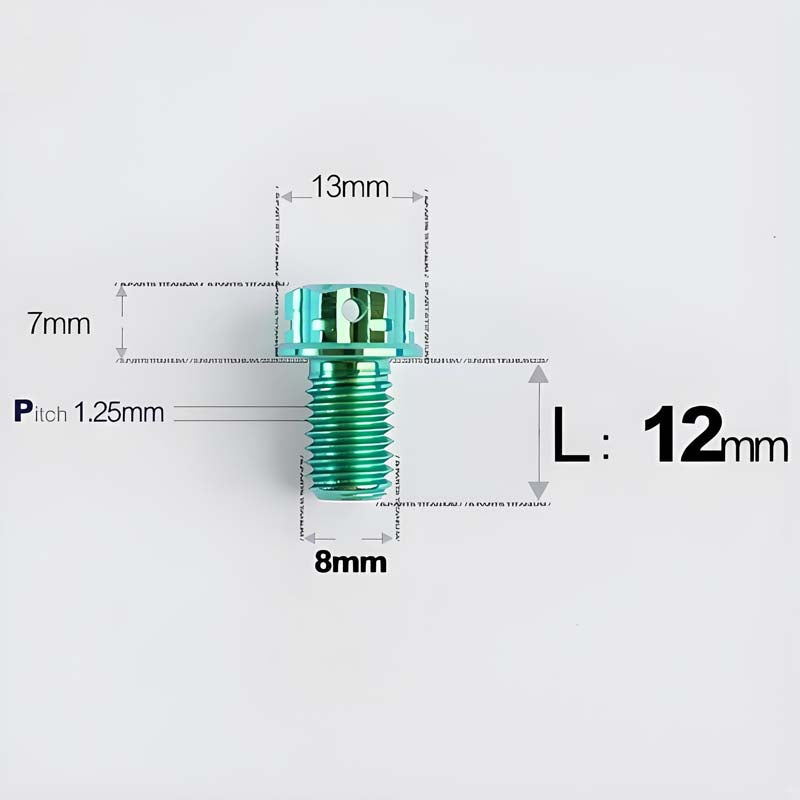 M8x10-120mm T40 Torx Titanium Bolts for Motorcycle