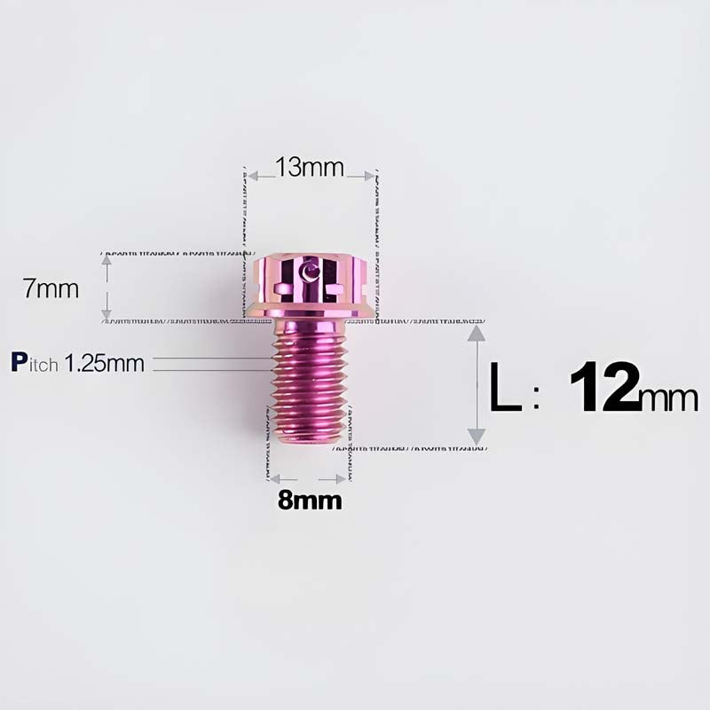 M8x10-120mm T40 Torx Titanium Bolts for Motorcycle