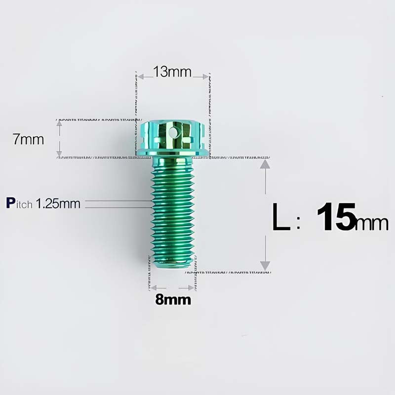 M8x10-120mm T40 Torx Titanium Bolts for Motorcycle
