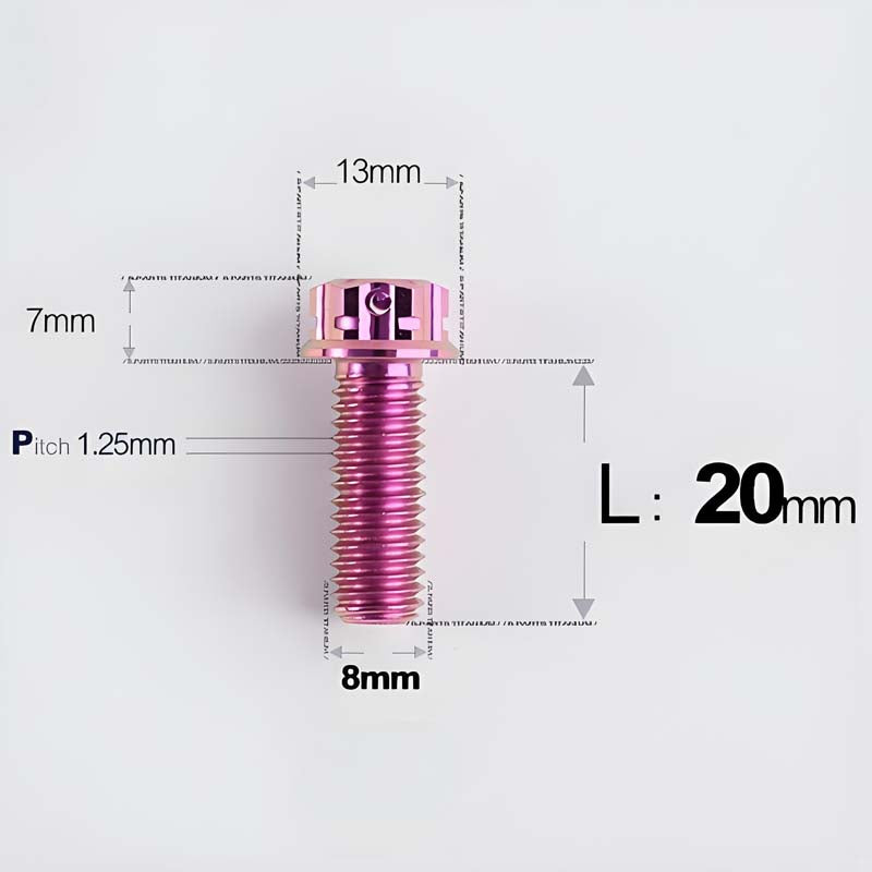 M8x10-120mm T40 Torx Titanium Bolts for Motorcycle