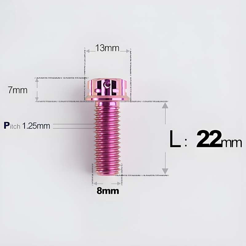 M8x10-120mm T40 Torx Titanium Bolts for Motorcycle