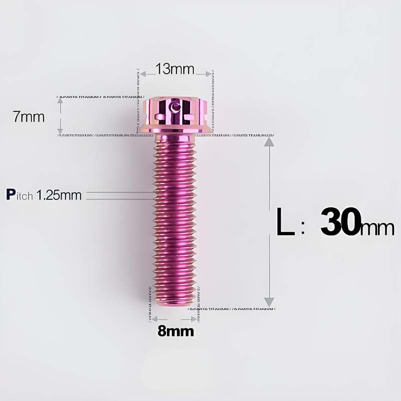 M8x10-120mm T40 Torx Titanium Bolts for Motorcycle