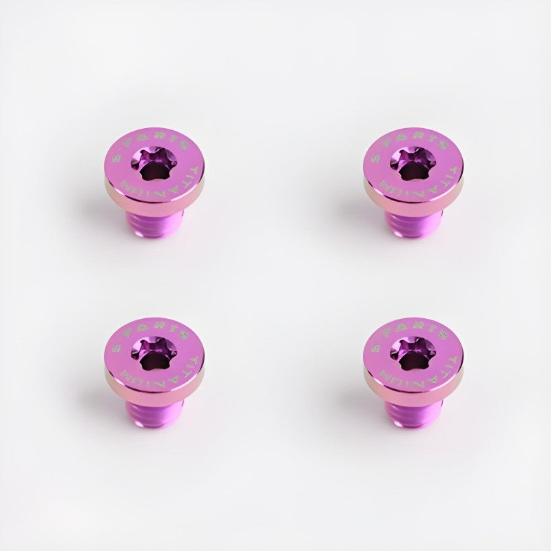 Titanium Mounting Bolts for ARAI RX-7X Helmet Visor
