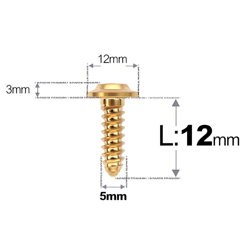 M5x12-25mm Titanium Screws For Electric Scooter & Motorcycle Body Panels-HD12