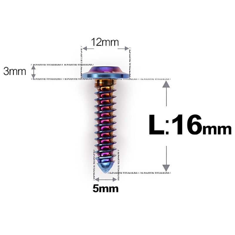 M5x12-25mm Titanium Screws For Electric Scooter & Motorcycle Body Panels-HD12
