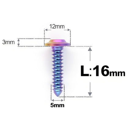 M5x12-25mm Titanium Screws For Electric Scooter & Motorcycle Body Panels-HD12