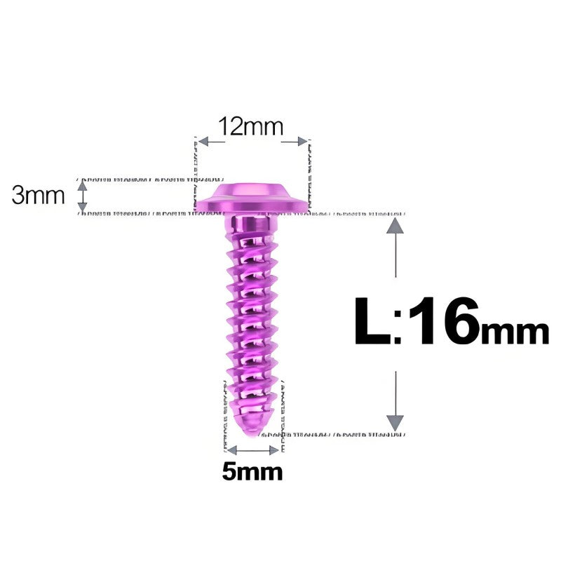 M5x12-25mm Titanium Screws For Electric Scooter & Motorcycle Body Panels-HD12