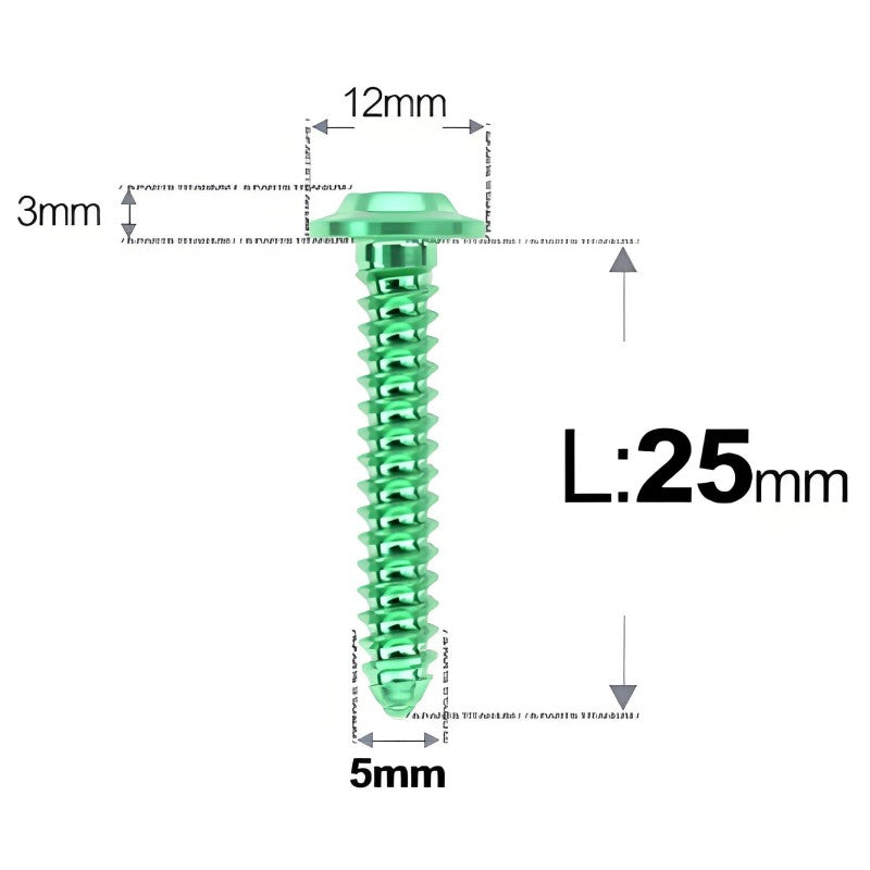 M5x12-25mm Titanium Screws For Electric Scooter & Motorcycle Body Panels-HD12