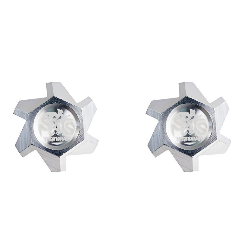 2 PCS Titanium Schrader Valve Dust Cap For Bicycles, Motorcycles and Electric Scooters