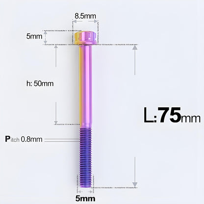 M5 X L35 - 95MM Titanium Bolts For Motorcycle & Bike