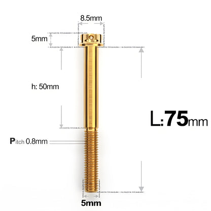 M5 X L35 - 95MM Titanium Bolts For Motorcycle & Bike