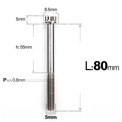 M5 X L35 - 95MM Titanium Bolts For Motorcycle & Bike