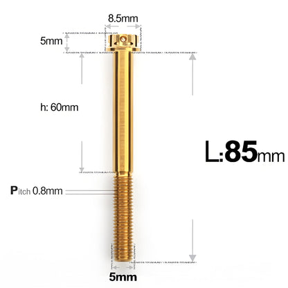 M5 X L35 - 95MM Titanium Bolts For Motorcycle & Bike