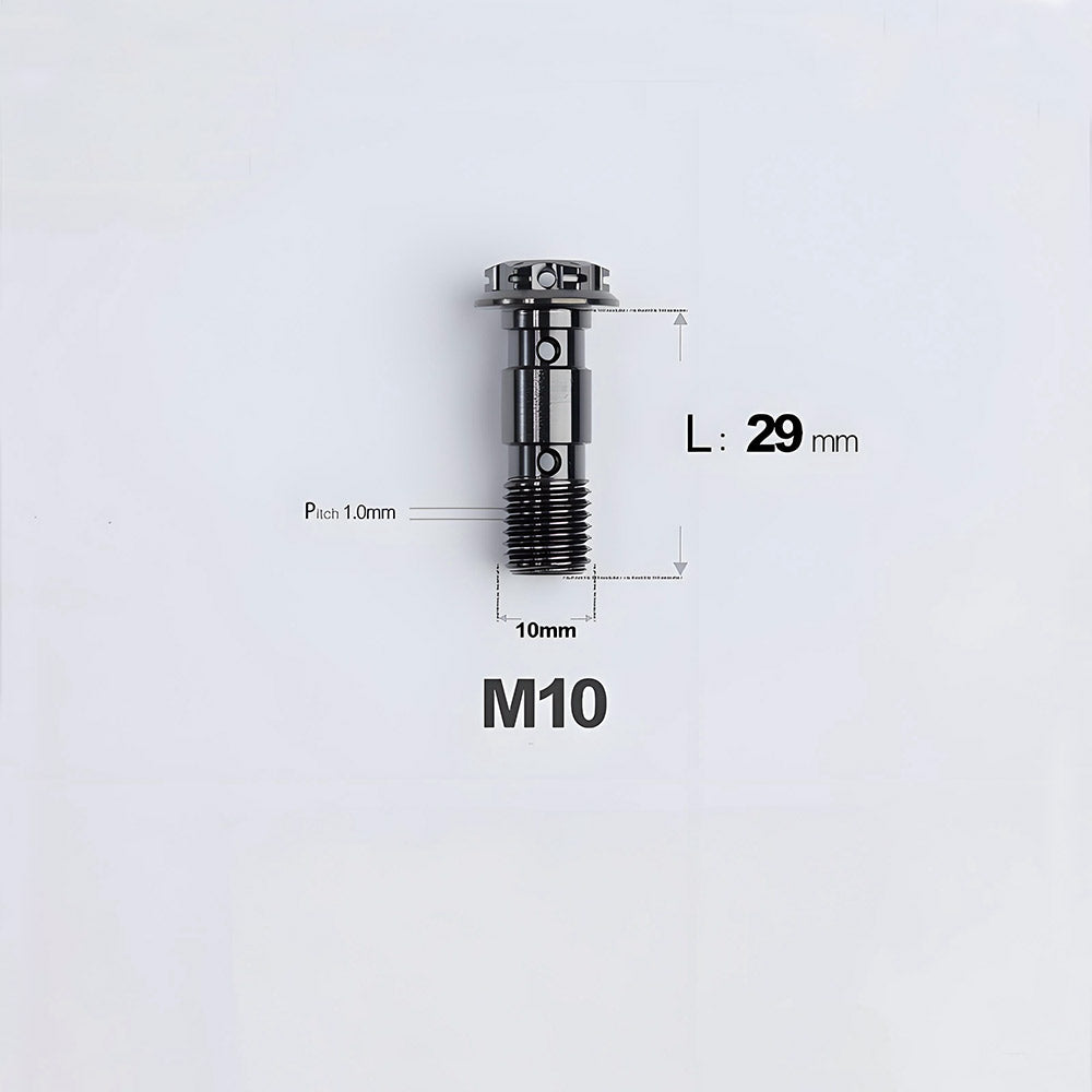 M10 x 29mm Titanium Dual Hole Banjo Bolt (P1.0 / P1.25)