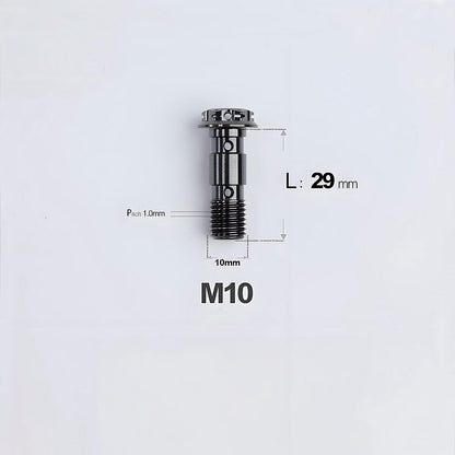 M10 x 29mm Titanium Dual Hole Banjo Bolt (P1.0 / P1.25)