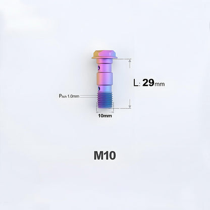 M10 x 29mm Titanium Dual Hole Banjo Bolt (P1.0 / P1.25)