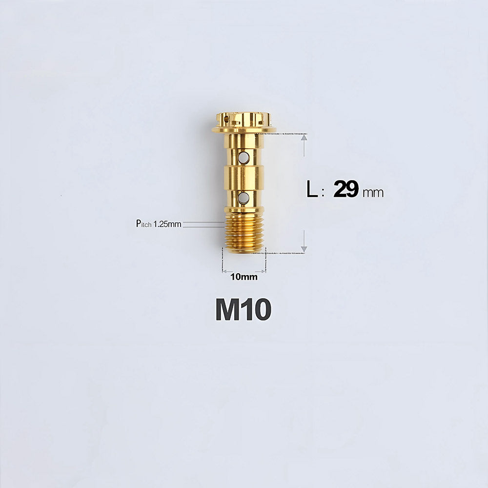 M10 x 29mm Titanium Dual Hole Banjo Bolt (P1.0 / P1.25)